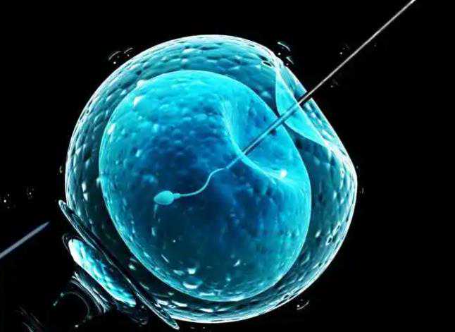 武汉提供找捐卵价格 在武汉协和医院做三代试管筛查一个胚胎要多少钱？ ‘彩