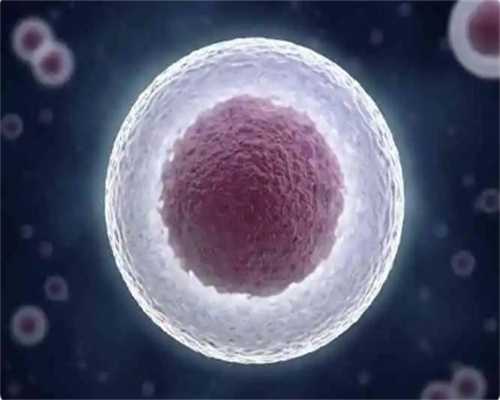 温州五十岁供卵 2024温州借卵排队时间明细 ‘三个月胎儿如何看男女性别’